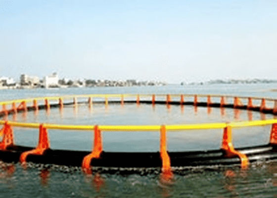 PE Marine Pedal Making Machine della macchina dell'estrusione di profilo di JWELL