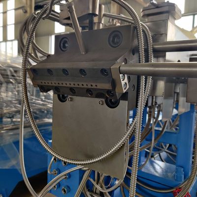 1000kg/h l'amido di PLA PBAT ha riempito la bio- linea di composto di plastica